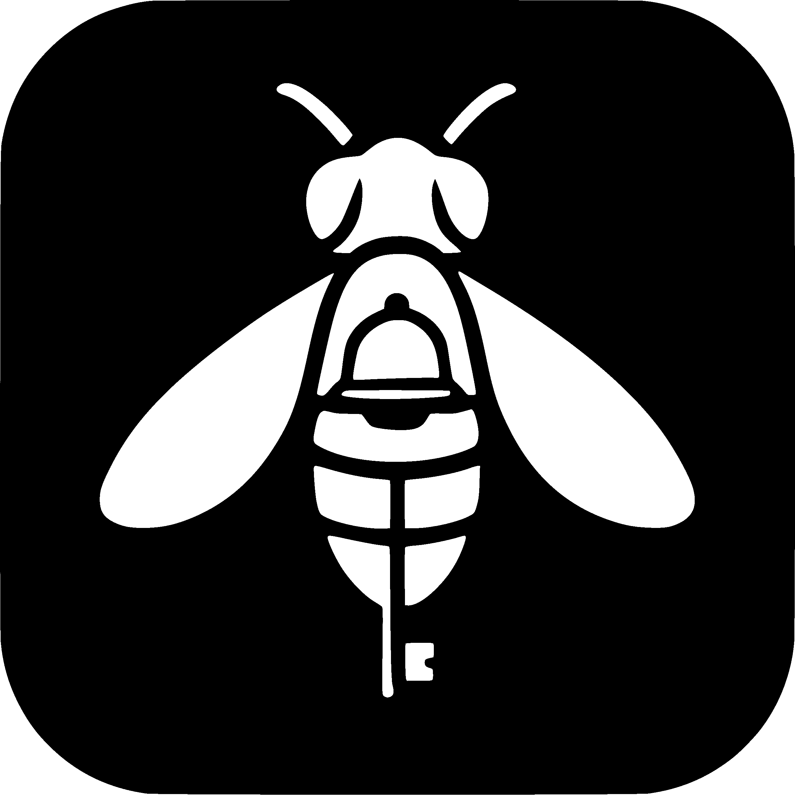 Logo de BlueFly Conciergerie, agence de gestion de locations courtes durées